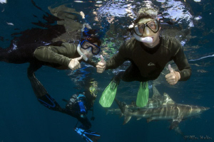 Non Divers doing what Shark Divers do!! (Signals are a de... by Allen Walker 